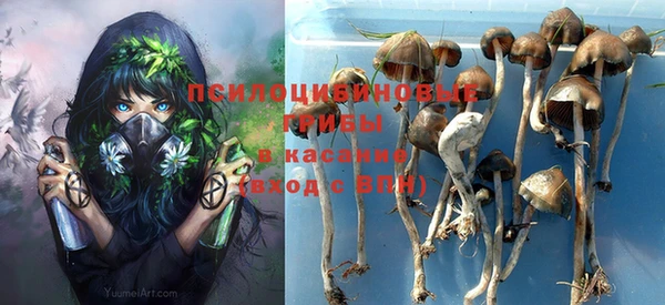 марки lsd Шали