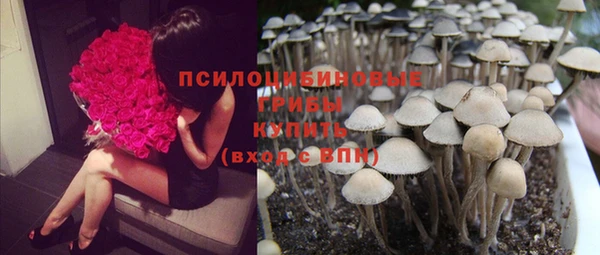 спайс Кинешма