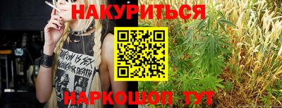 jwh Гатчина