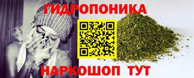 дживик Гай