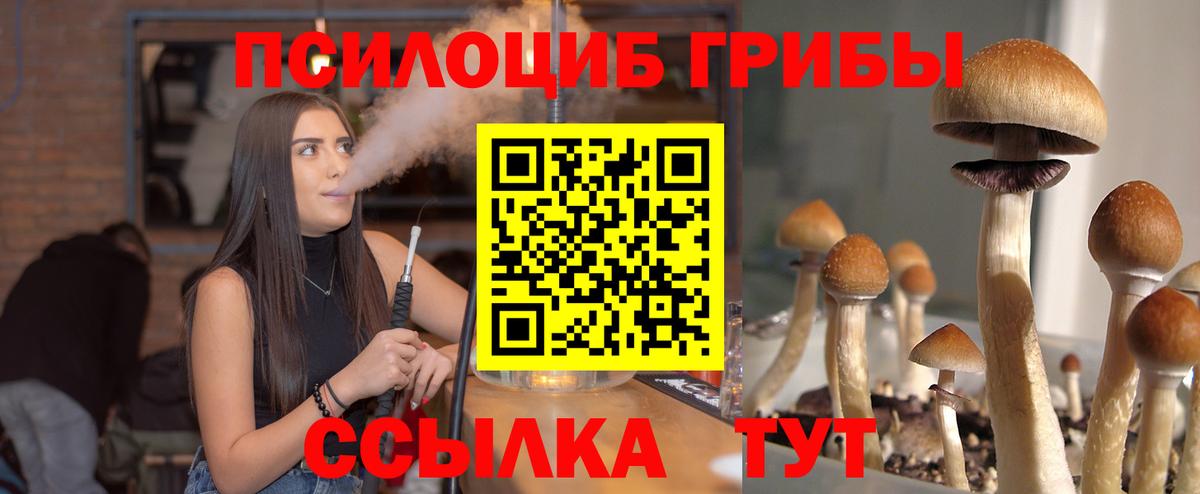 Галлюциногенные грибы Magic Shrooms  Псилоцибиновые грибы ЛСД  Кызыл  Вход с VPN 